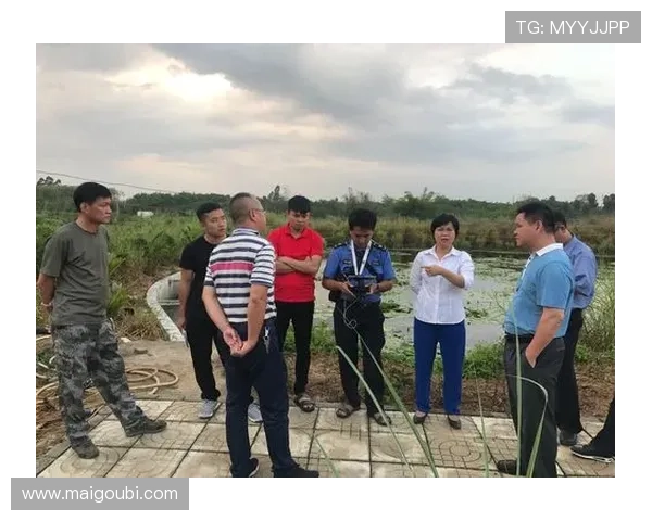 凯时官方游戏版本更新内容及维护公告及时掌握最新动态